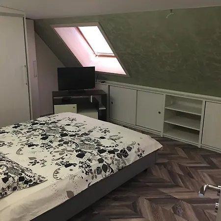Apartamento Pirotska View *